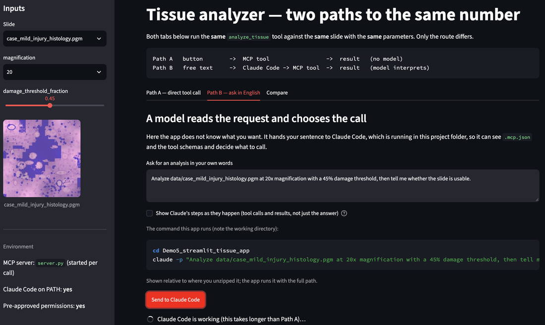 The Demo 5 app: a sidebar with slide, magnification and threshold controls
                      and a slide preview, and the Path B tab showing the free-text box and the
                      exact claude -p command the app will run.
